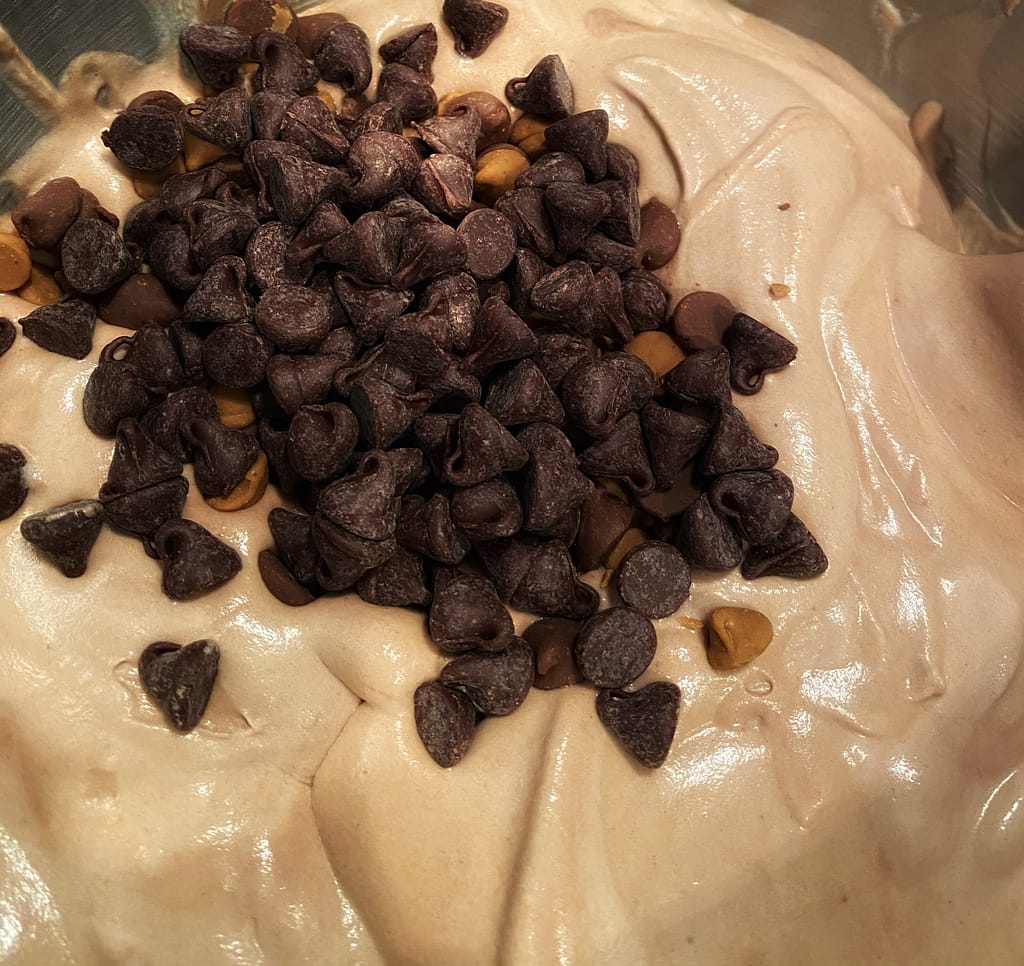 peanut butter chips and chocolate chips in chocolate, peanut butter ice cream